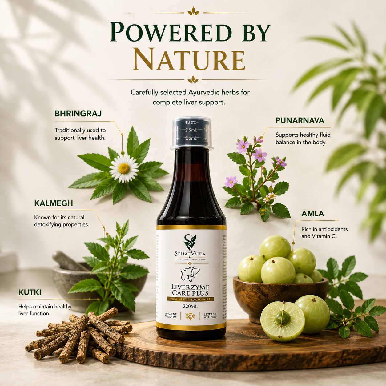LiverZyme Care Plus – 220ml | Ayurvedic Liver Wellness Formula | Velora Ayurved
